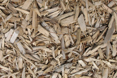 biomass boilers Tregoss